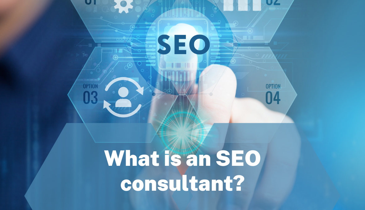 What is an SEO consultant?