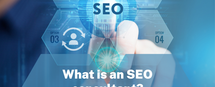 What is an SEO consultant?
